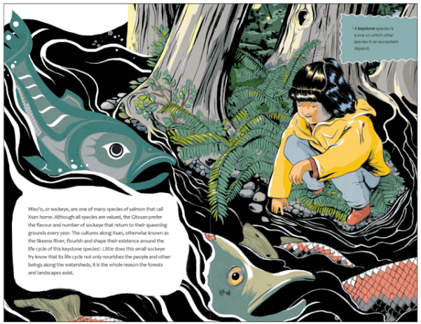 Image result for sockeye mother natasha donovan