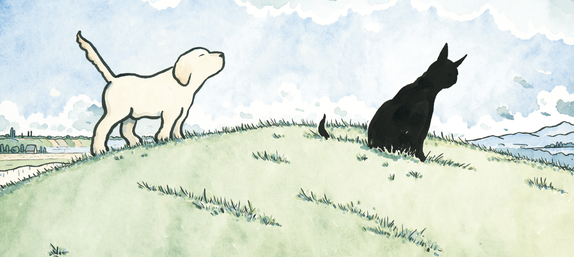 Yes & No — Elisha Cooper