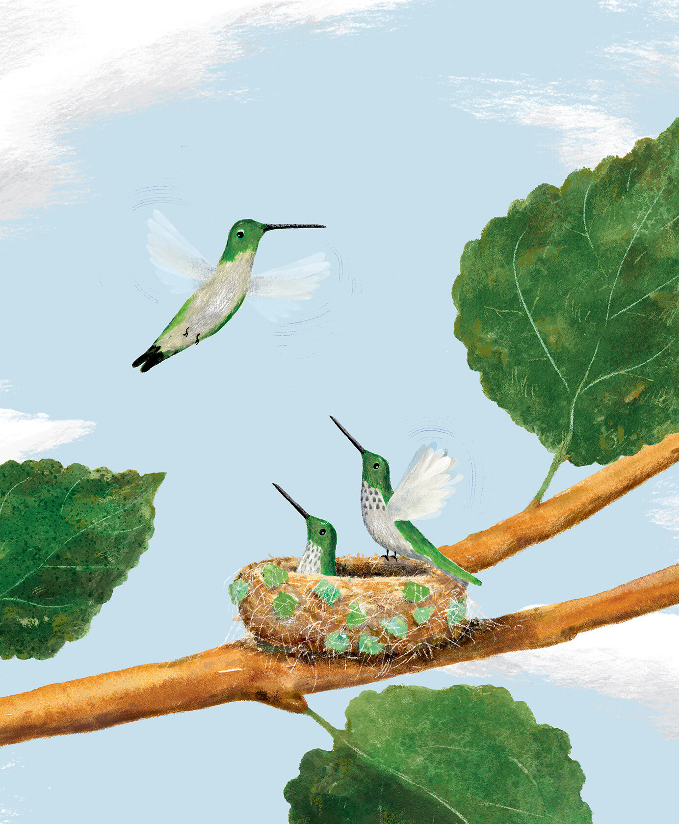 Paul Meisel-My Tiny Life by Ruby T. Hummingbird